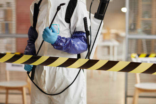 Professional Odor Removal technician working in Adrian, MO
